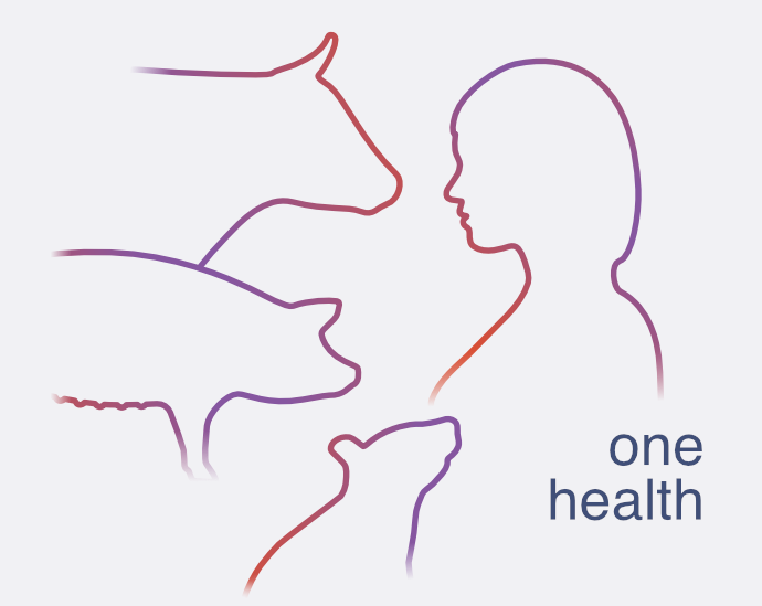 Silouettes of a mouse, a pig, a cow and a human and the words One health